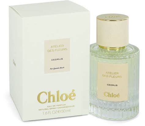 chloe cedrus золотое яблоко